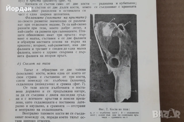 Книга ''Патология на птиците и хигиена на стопанствата'', снимка 12 - Специализирана литература - 50701513