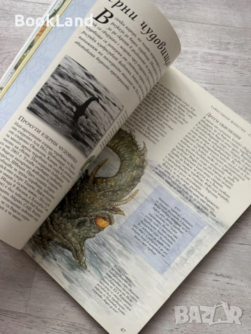 Енциклопедия Фентъзи – Джуди Алън, Фют , снимка 14 - Детски книжки - 53295584