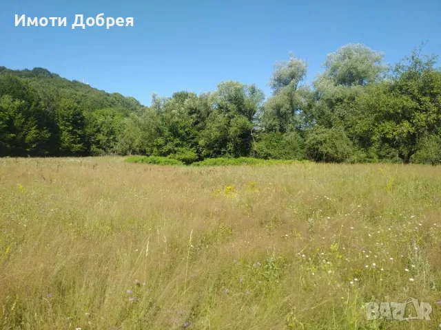 Имот в централната част на гр. Априлци, снимка 2 - Земеделска земя - 56315394