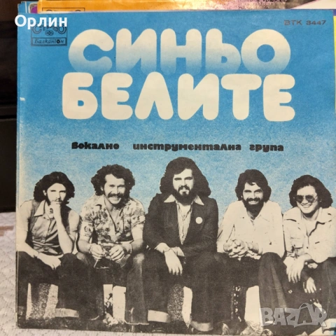 ВИГ Синьо белите ВТК 3447