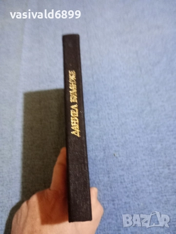 Даниел Буланже - Павилионът на мага , снимка 3 - Художествена литература - 51939592