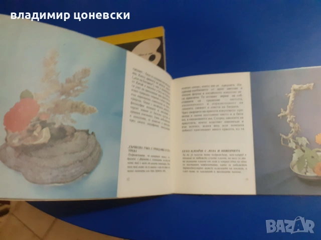 Книги помагала за изкуството  икебана,книга,цената е за двете, снимка 5 - Специализирана литература - 54067864