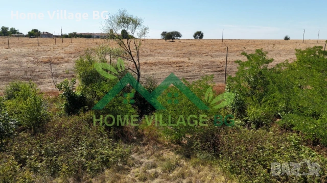 Просторна къща за ремонт или събаряне, обл.Силистра, снимка 4 - Къщи - 53231264