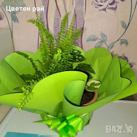 Аранжировка на цветя! Подари усмивка на любим човек, снимка 10 - Стайни растения - 56056394