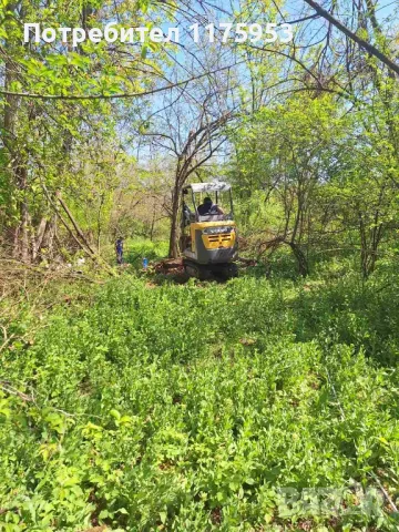 Почистване на дворове, рязане на опасни дървета, изкопани дейности , снимка 3 - Други ремонти - 48854407