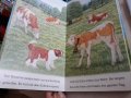 Детски   книжки  на немски език за начинаещи , снимка 2