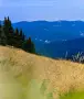Продава се Парцел в к.к.Пампорово, с.Стойките, Смолян , снимка 2