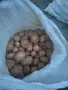 Картофи за животни , снимка 2
