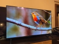 Телевизор LG OLED48A13LA, ПРОБЛЕМ С ПАНЕЛА, снимка 1