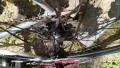 Гравел - Bombtrack Audax - Medium 45cm, снимка 2