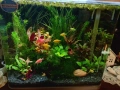 Аквариум комплект , снимка 2