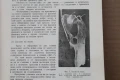 Книга ''Патология на птиците и хигиена на стопанствата'', снимка 12