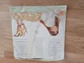 Лили Иванова  Щурче Грамофонна плоча  ВТА 10870, снимка 2
