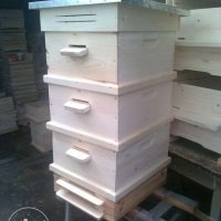 кошери-дадан блат, снимка 4 - За пчели - 37453239