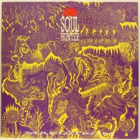 Soul Hunter-Грамофонна плоча -LP 12”, снимка 1 - Грамофонни плочи - 38999215