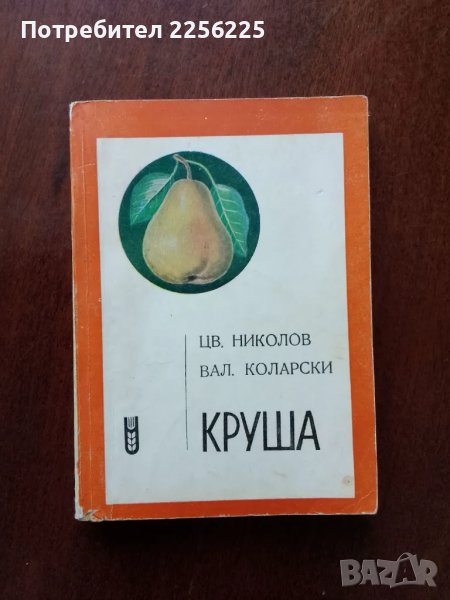 Круша, снимка 1