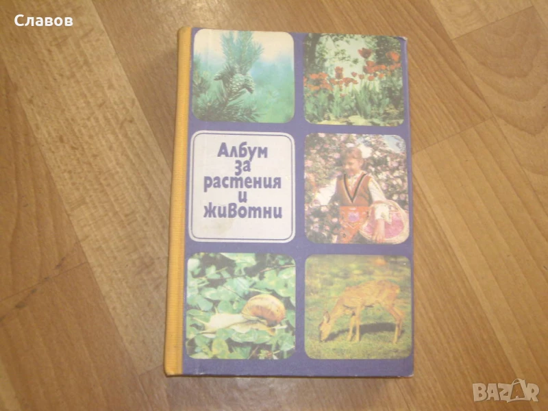 Комплект антикварни книги ПРИРОДА И ЖИВОТИНСКИ СВЯТ, снимка 1