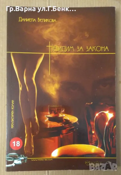 Невидим за закона  Даниела Великова 4лв, снимка 1