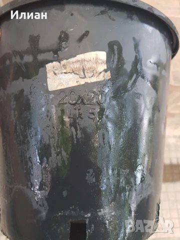 50 броя саксии, работни контейнери 5л , снимка 2 - Други стоки за дома - 50848296