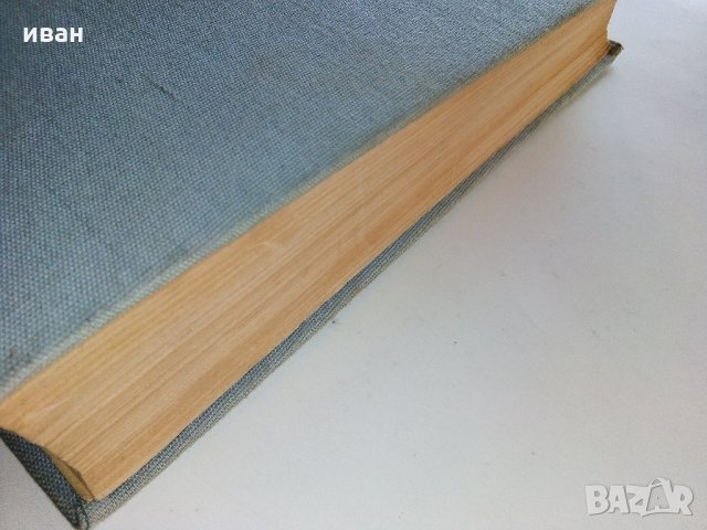 Виконт дьо Бражелон или 10 години по-късно - А.Дюма, снимка 8 - Художествена литература - 30913684