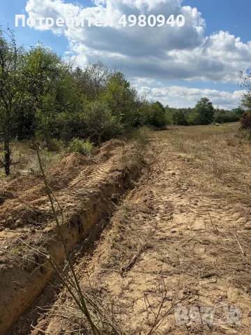 Почистване Дърводобив и Др, снимка 6 - Други - 56535230