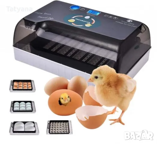 Инкубатор, снимка 1