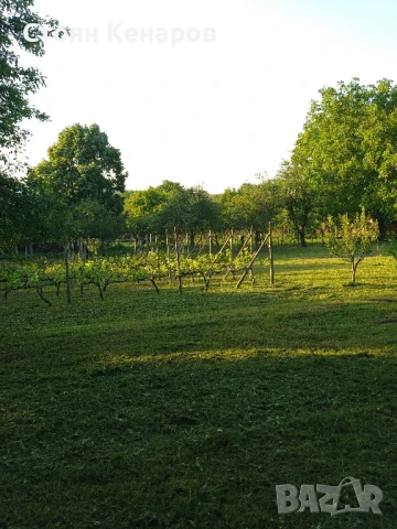 Продавам парцел в село Балван,област В.Търново., снимка 7 - Парцели - 50557427