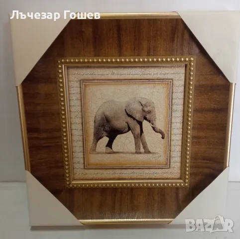 Картина със слон нова 26 на 26 см.  , снимка 1