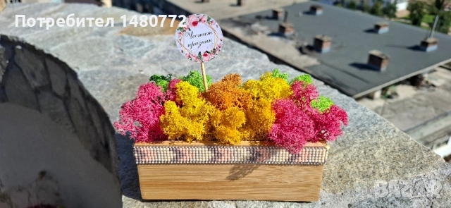 Малка бамбукова кашпа, снимка 2 - Декорация за дома - 51470258