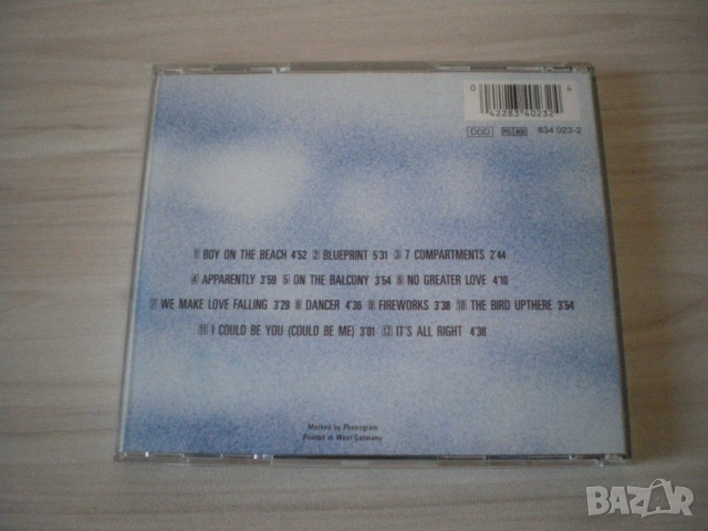 Rainbirds ‎– Rainbirds 1987 CD, Album, снимка 4 - CD дискове - 54010422