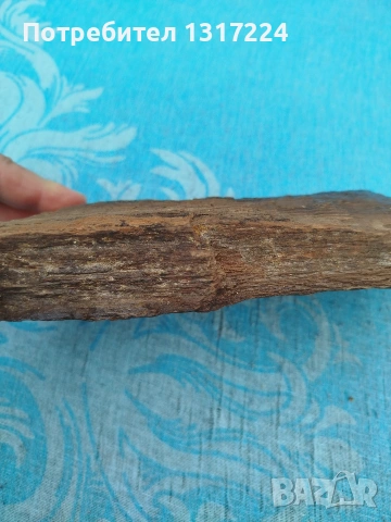 вкаменено дърво, снимка 3 - Колекции - 53174193