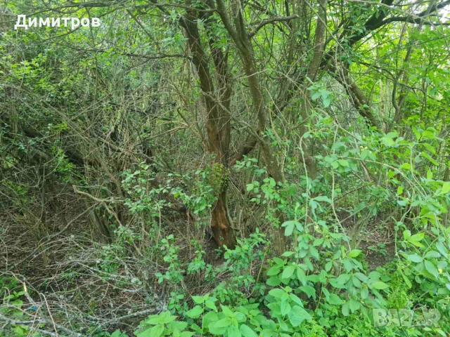 Продава парцел 648 м2, в жилищна зона на махала „Логатор”, село Гоз, гр. Брезник, снимка 4 - Парцели - 51595417