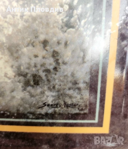 Керамична чиния „White Lightning“ – John Seerey-Lester, The Bradford Exchange (1999), снимка 4 - Декорация за дома - 51338276