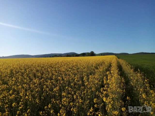 Парцел в гр. София, с. Доброславци намира се на земеделски път с лесен достъп. ПИ , снимка 11 - Парцели - 51400498
