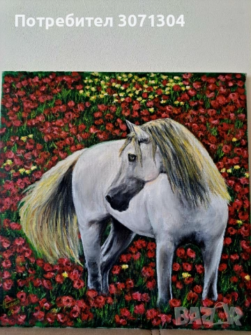 В маково поле, снимка 6 - Картини - 33972204