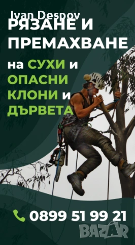 Премахване на опасни клони и дървета | Резитба | Грижа за дърветата, снимка 6 - Други услуги - 54055884