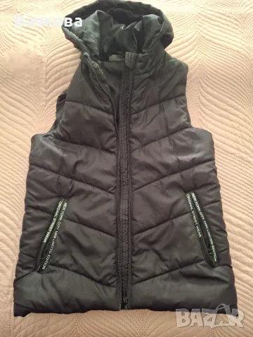 Дебела  грейка