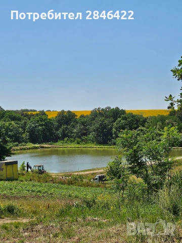 Пчелен мед, снимка 3 - Домашни продукти - 54122703