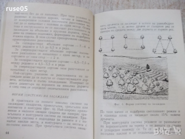 Книга "Малка овощна градина-Т.Ангелов/С.Иванов" - 184 стр.-1, снимка 5 - Специализирана литература - 51761656