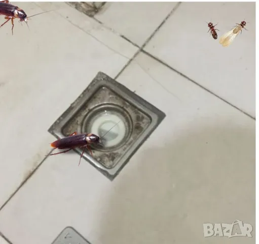 Мощен препарат за отпушване на тоалетна, кухненска канализация  , снимка 4 - Препарати за почистване - 50383389