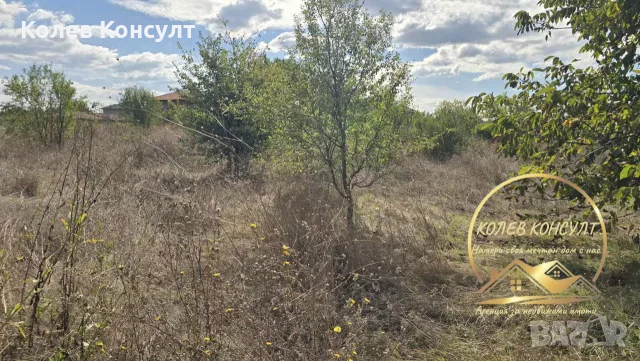парцел УПИ град Димитровград кв Черноконево