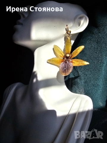 Обеци с естествен цвят на орхидея Камбриа