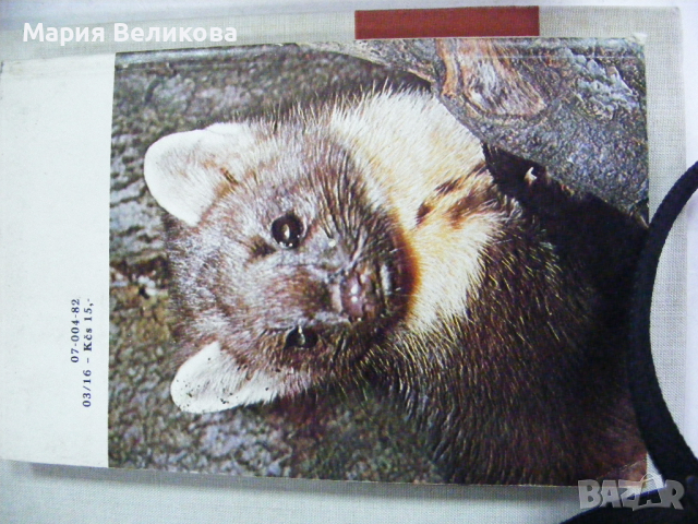 Книга на чешки език , снимка 2 - Чуждоезиково обучение, речници - 44728270