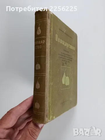 Овощарство 1955г, снимка 10 - Специализирана литература - 56271266