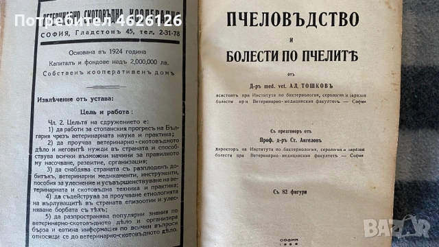 Пчеларство и болести по пчелите