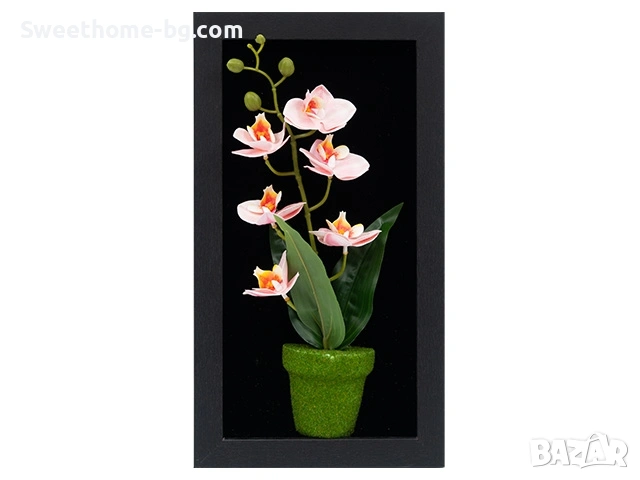 картина 3D обемна Различни модели 