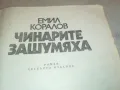 ЧИНАРИТЕ ЗАШУМЯХА 2001251013, снимка 2