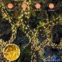 THKFUL Външни коледни феерични светлини, 50M Crystal 300LED, водоустойчиви, дистанционно с 8 режима, снимка 6