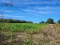 с. Драганово, Обл. Добрич, парцел с кладенец - 25500евро!, снимка 4