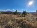 Парцел първенец, снимка 2